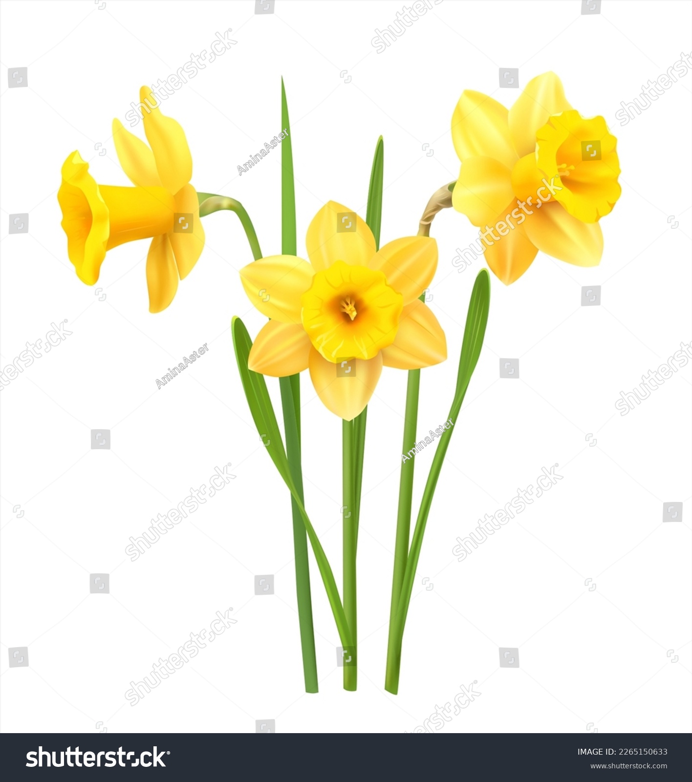 SVG of Yellow daffodils isolated on white. Vector illustration. svg