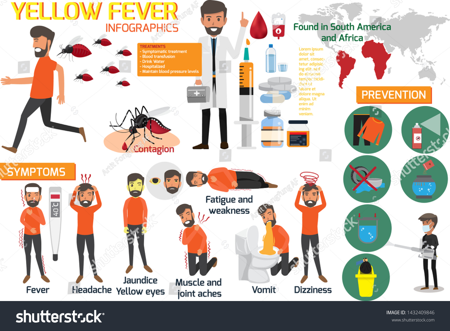 Yellow Fever Infographic Elements Symptoms Preventions 스톡 벡터로열티 프리 1432409846 Shutterstock 7088