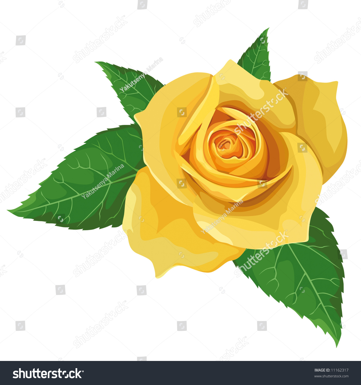 Yellow Rose Stock Vector 11162317 Shutterstock