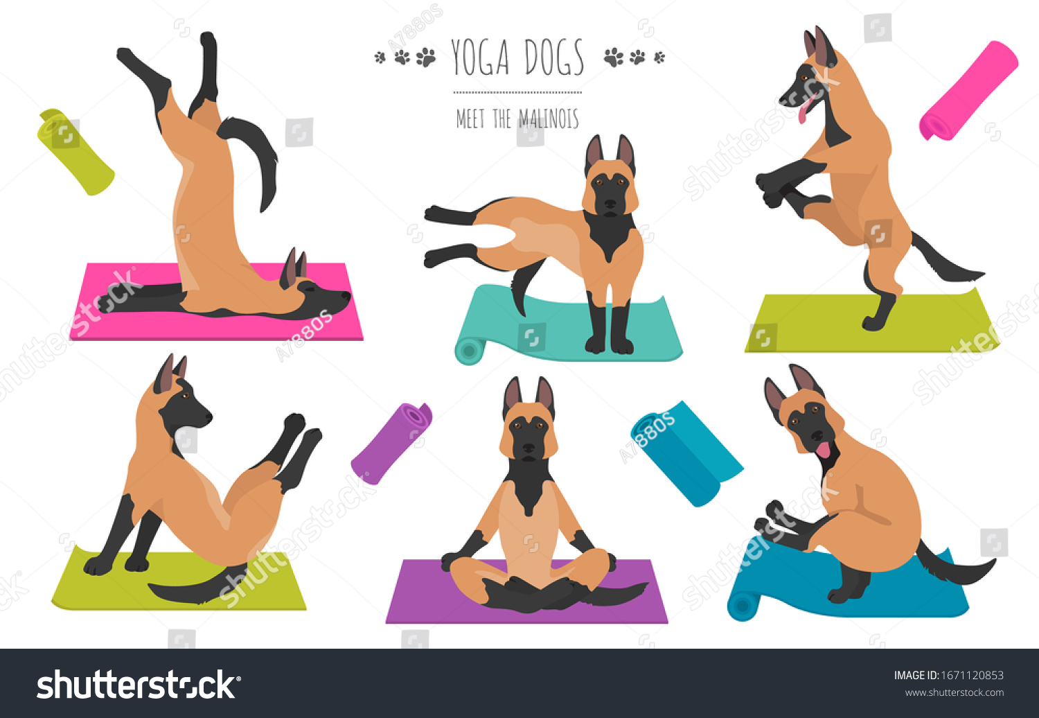 SVG of Yoga dogs poses and exercises poster design. Belgian malinois clipart. Vector illustration svg