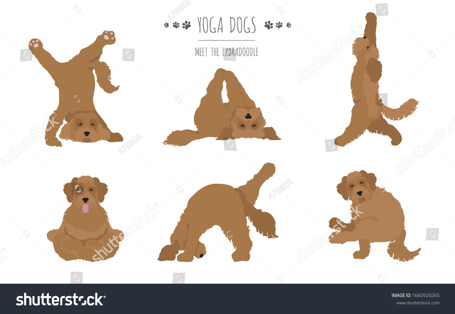 SVG of Yoga dogs poses and exercises poster design. Labradoodle clipart. Vector illustration svg