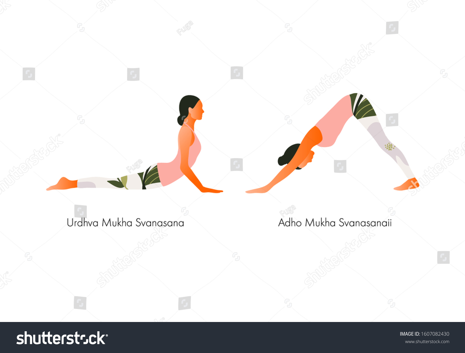 Upward Facing Dog Deutsch Upward Facing Dog Deutsch