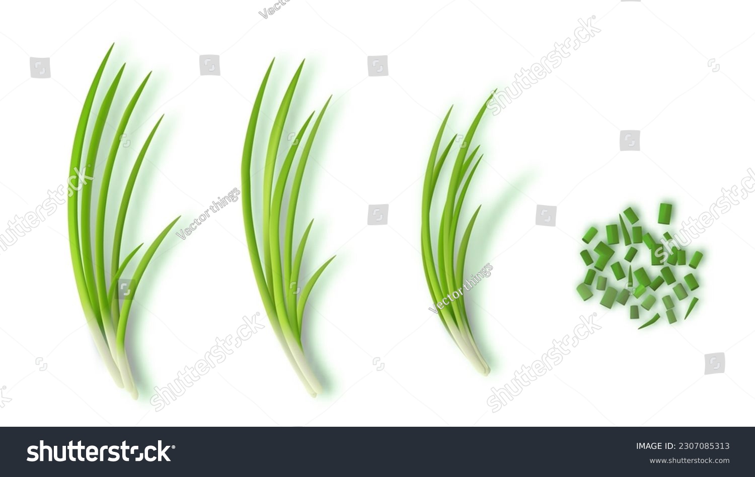 SVG of Young Green Onion Bunch And Sliced One Isolated On White Background. EPS10 Vector svg