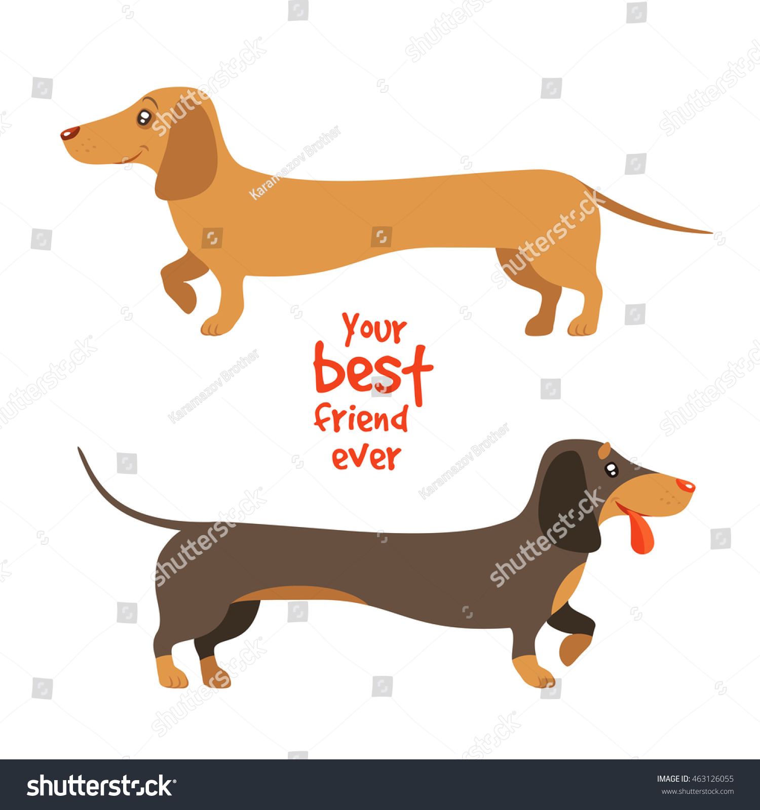 SVG of Your best friend ever. Vector flat illustration of two dachshunds, ginger and brown, on white background svg