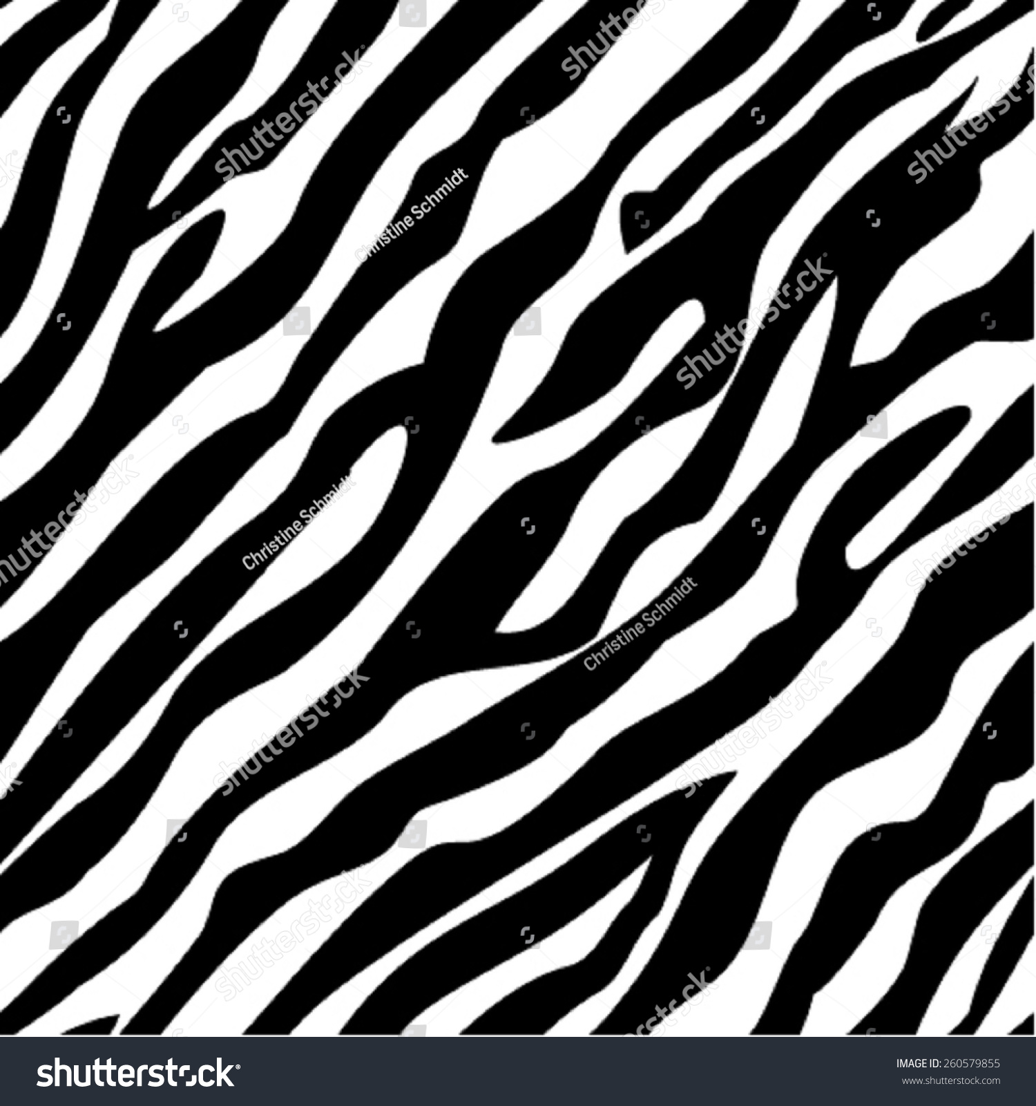 Zebra Pattern Interesting Ideas Zebra Pattern Interesting Ideas