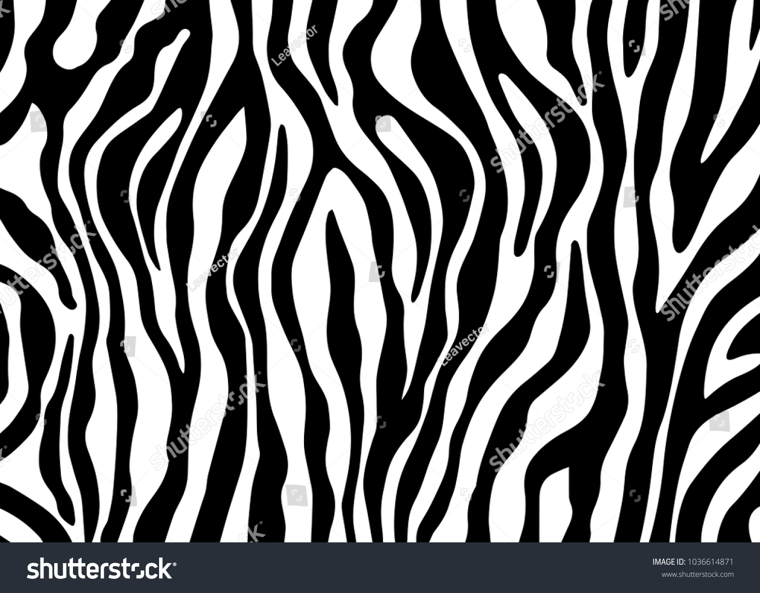 Zebra Print Vector Stock Vector Royalty Free 1036614871 0600