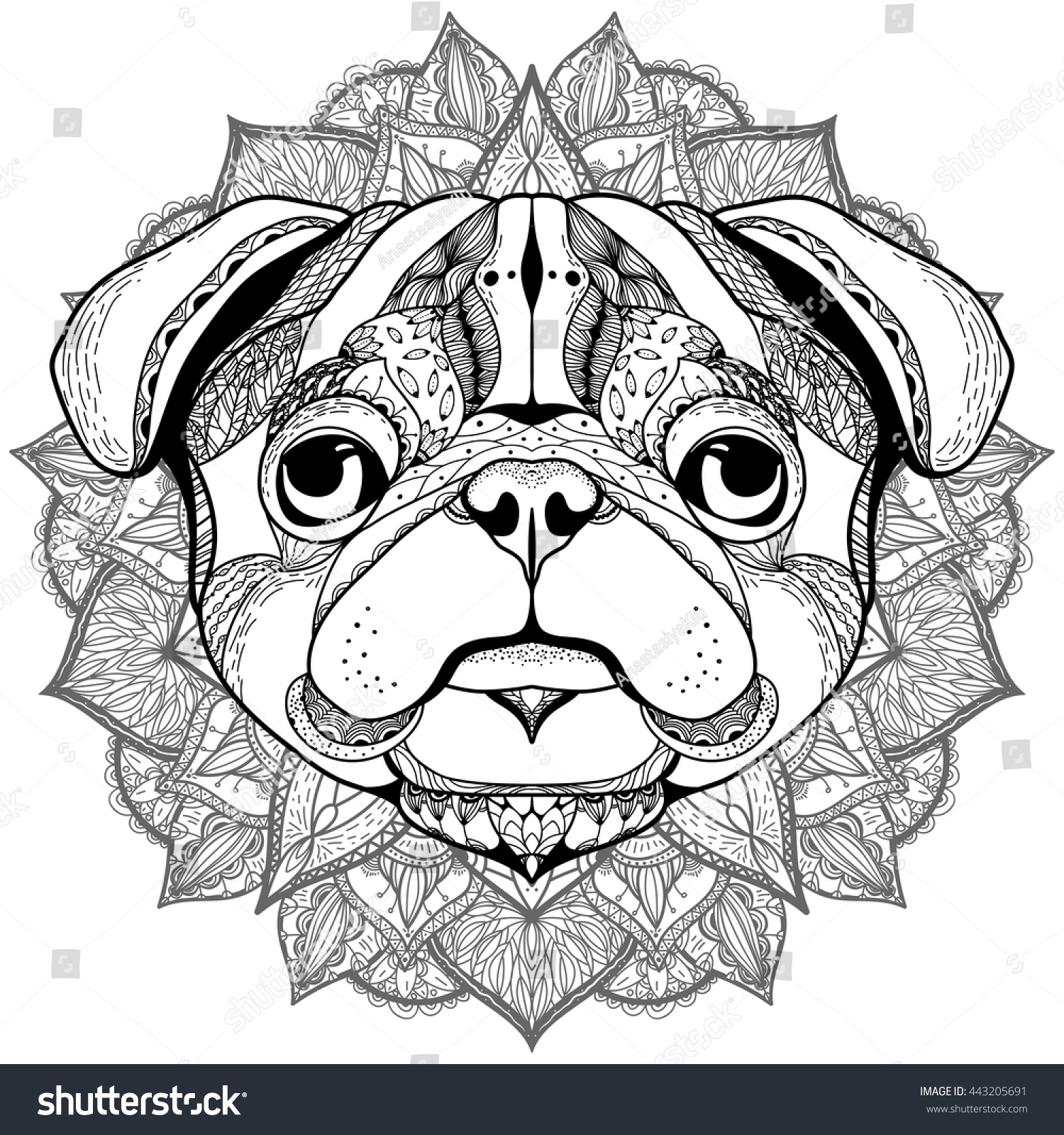 pug coloring pages for adults zentangle stylized pug imagem vetorial de banco 443205691 pug coloring pages for adults zentangle stylized pug imagem vetorial de banco 443205691