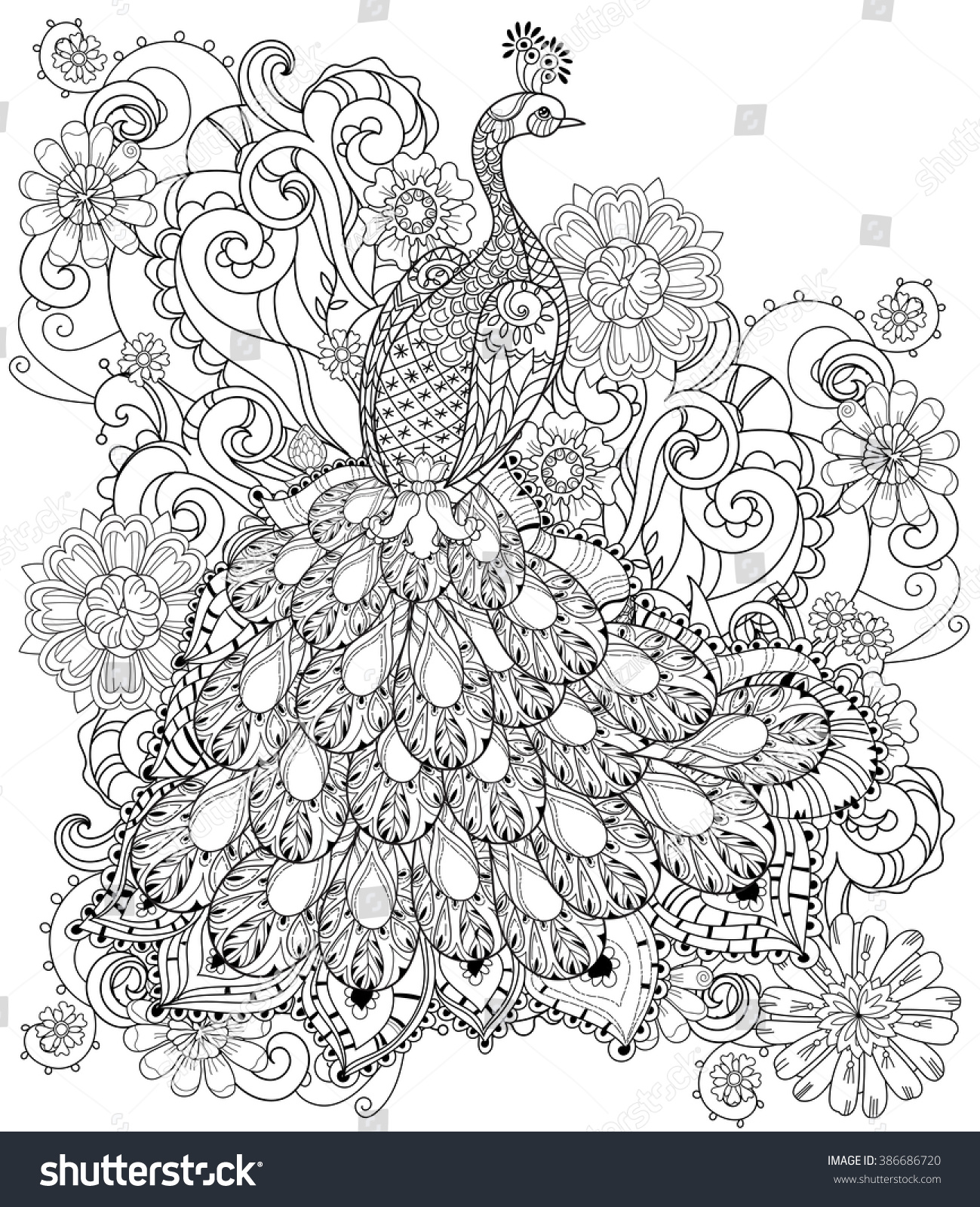 Peacock Zentangle SVG