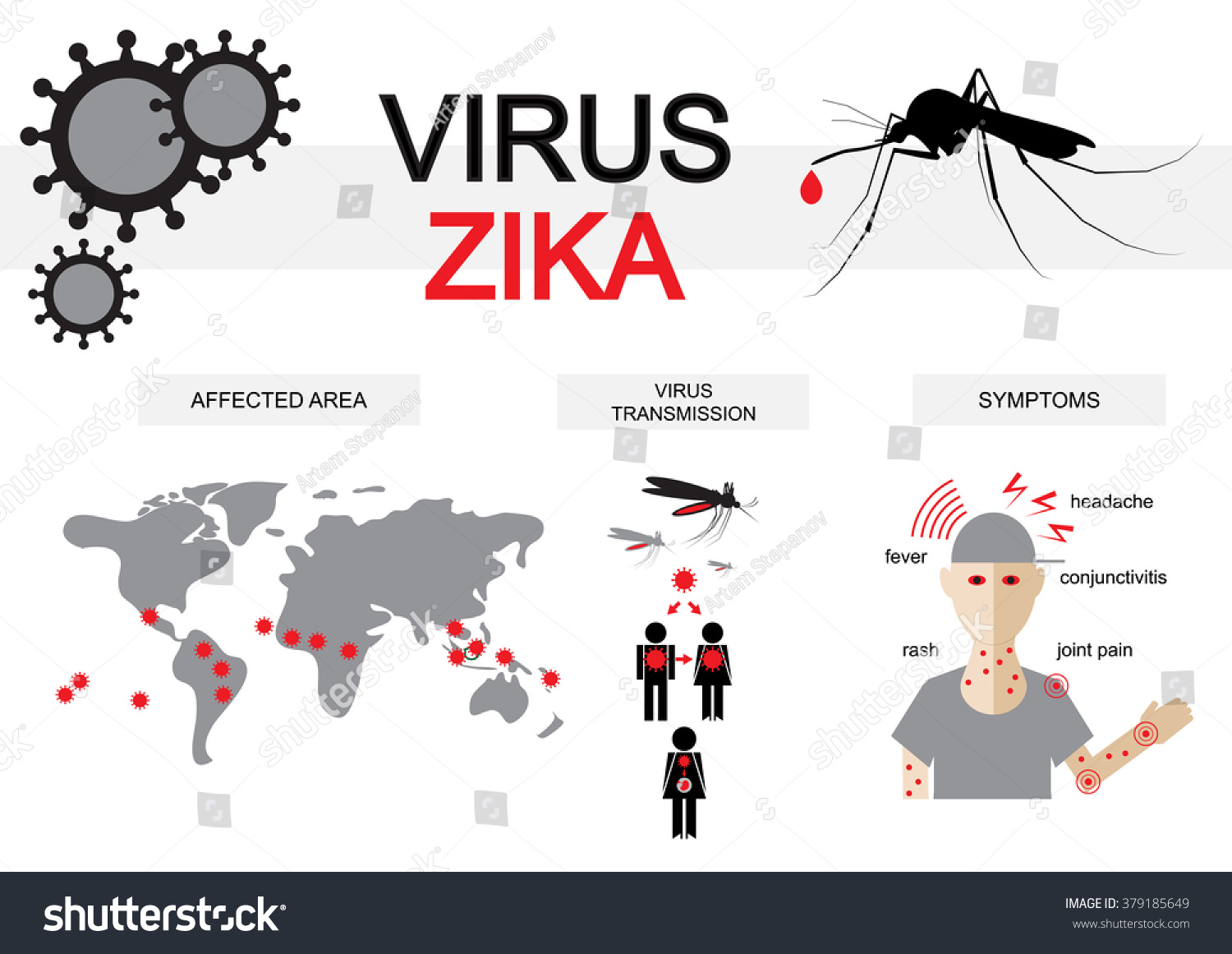 Zika Virus Infographic Symptoms Transmission Affected Stock Vector Royalty Free 379185649 