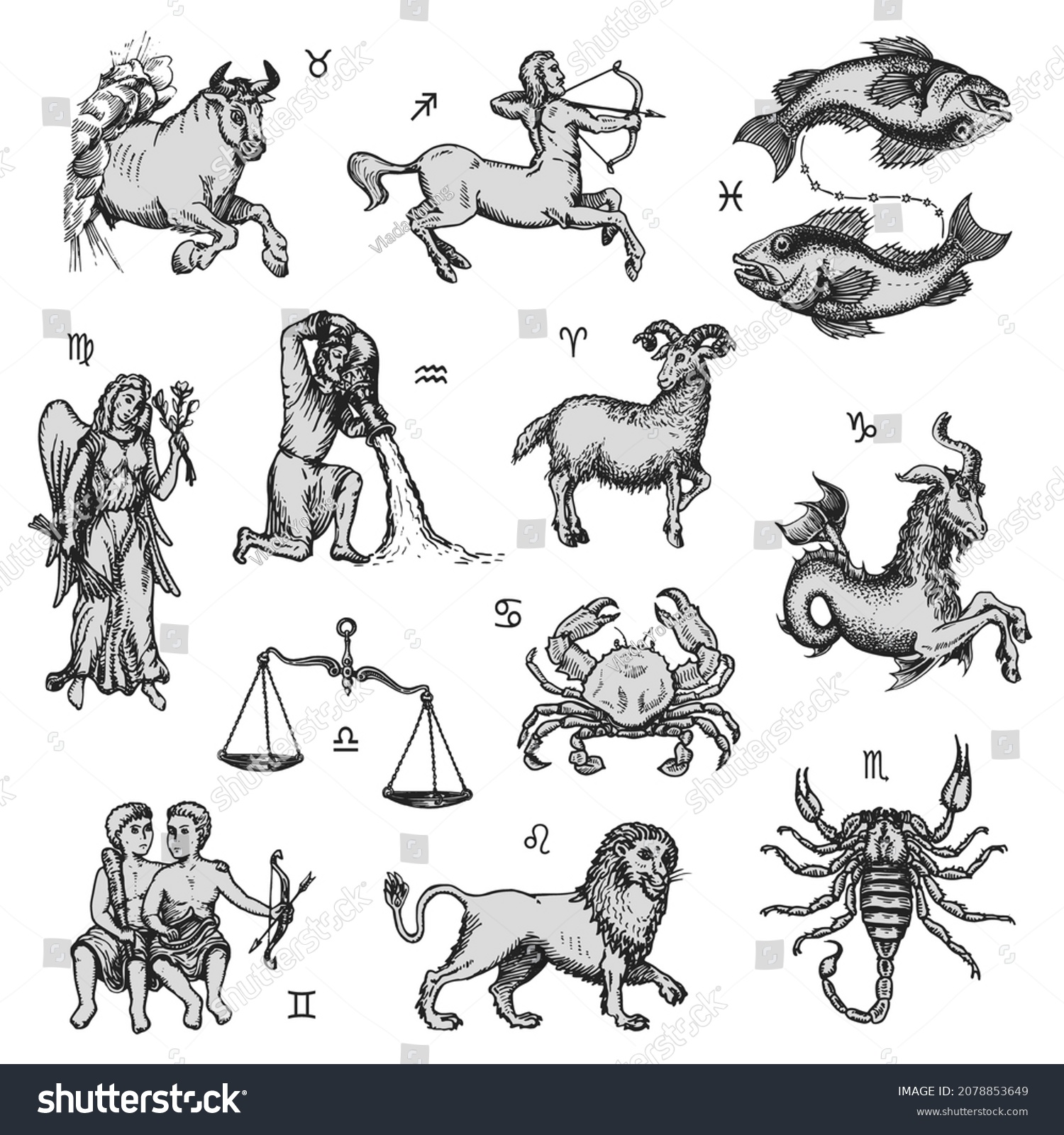Zodiac Signs Collection Vector Drawings Engraving Stock Vector (Royalty ...