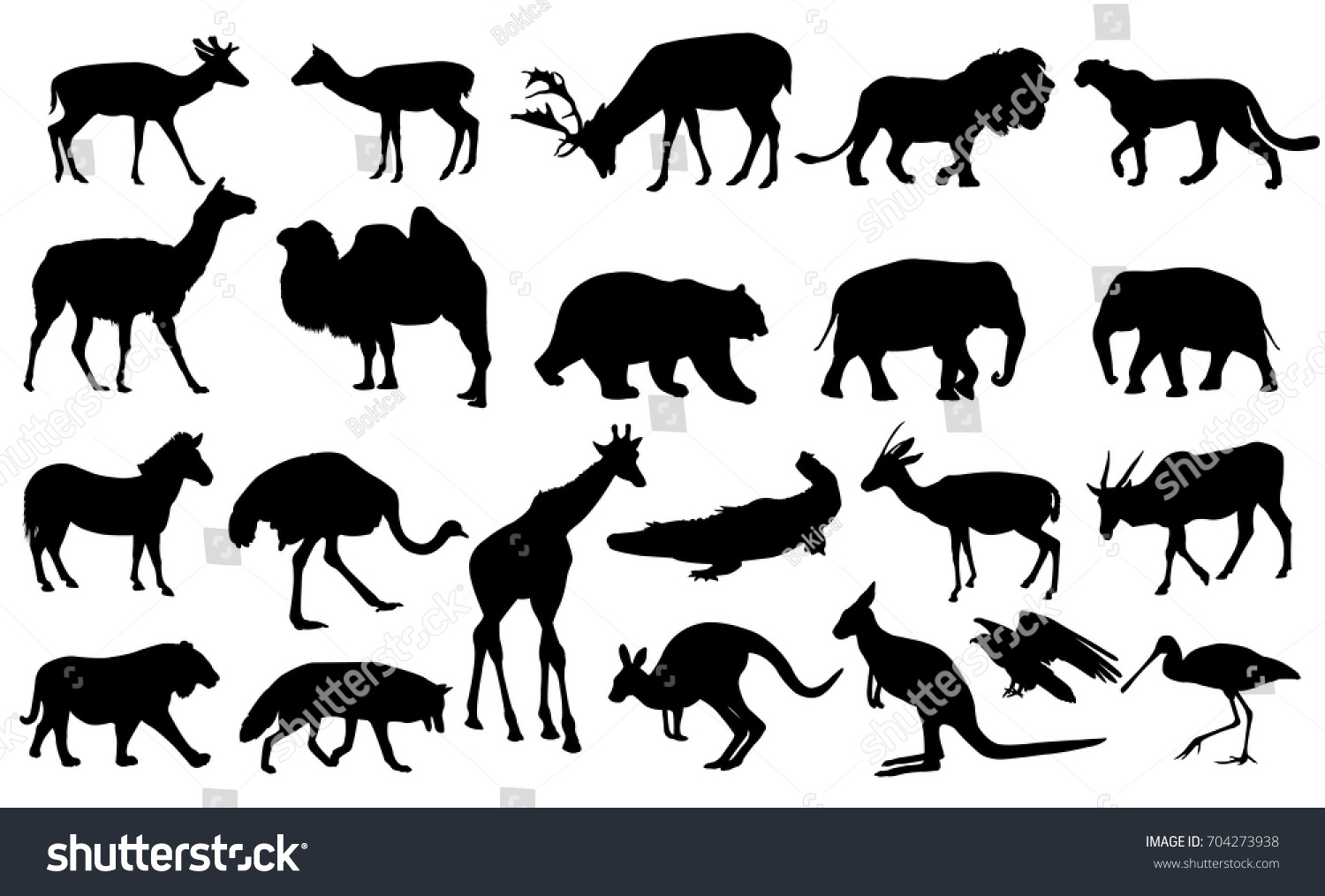 Zoo Animals Collection Vector Stock Vector (Royalty Free) 704273938