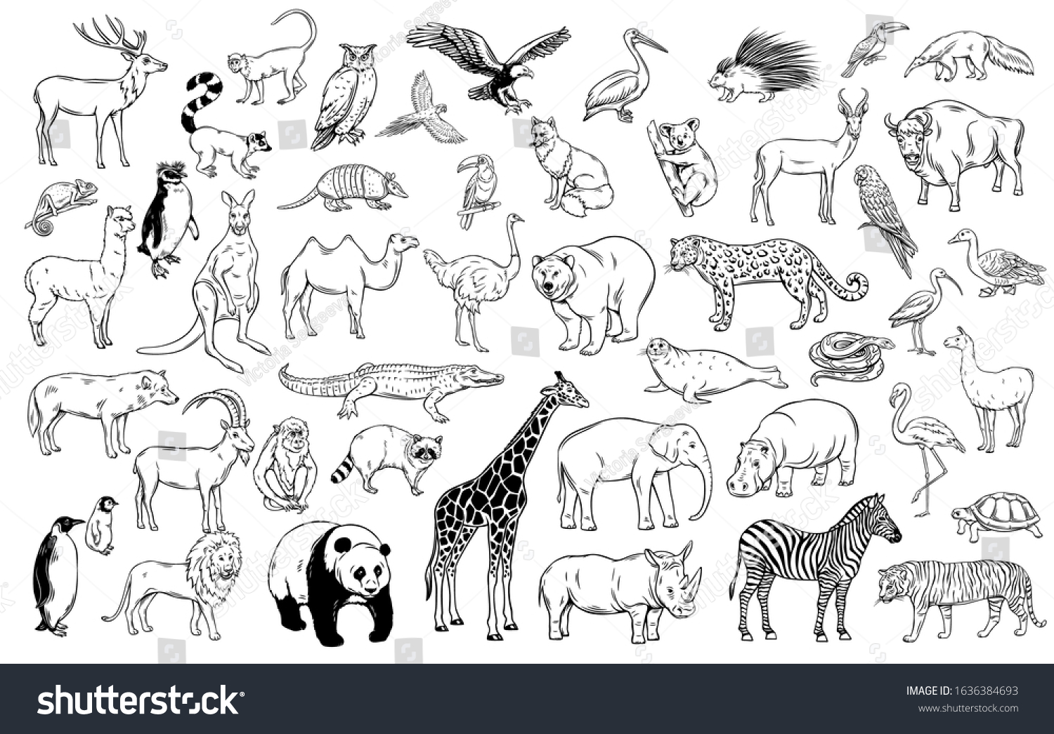 Zoo Animals Traditional Outline Icons Drawing Stock Vector (Royalty ...